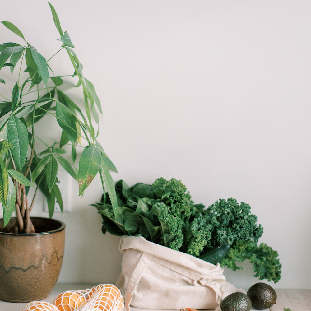 Think you know the truth about health? This post debunks common health myths with science-backed insights on disease, nutrition, and wellness. #healthmyths #wellnesstips #nutritionfacts #healthyhabits #diseaseprevention #mindsetshift #coachingtools #selfimprovement #plantbasedhealth #lifestylechange