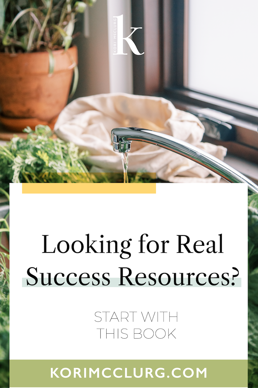 Discover the success resources that supported my health and mindset transformation—from coaching tools to daily practices that create lasting change. #successresources #wellnessjourney #mindsetshift #healthtools #coachingresources #selfdevelopment #habitstacking #emotionalhealth #lifestylechange #goalsetting